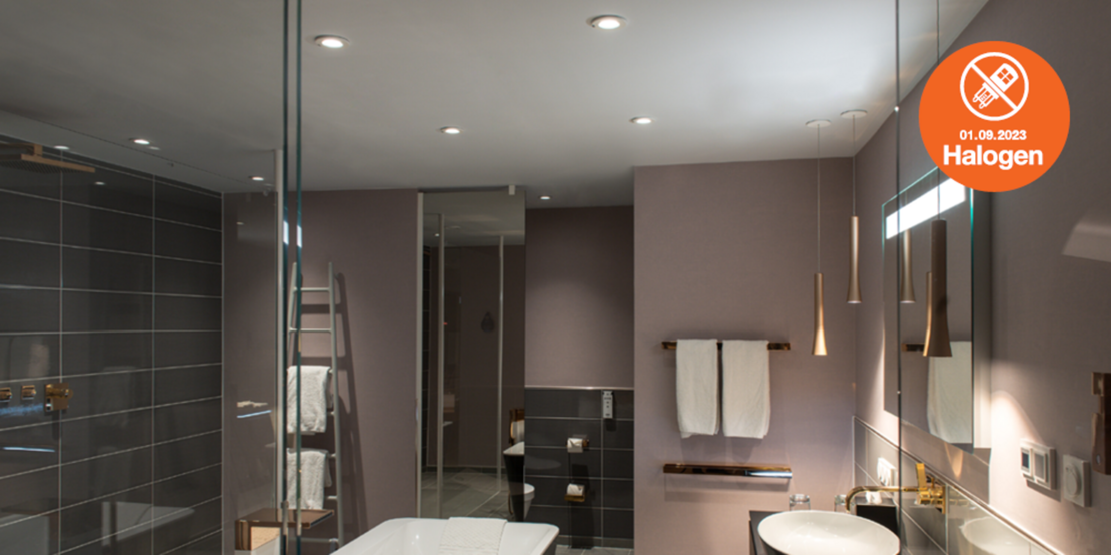 Lösungen zum Halogenlampen Verbot bei EMELTEC Elektrotechnik in Pyrbaum